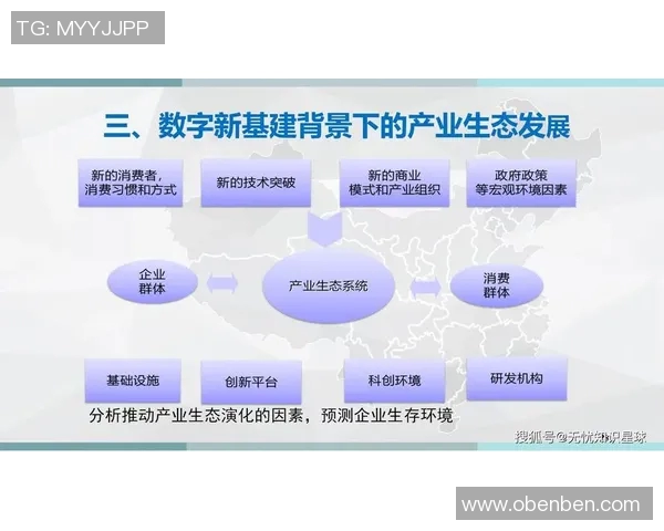 以交易为核心探索数字经济发展新机遇与挑战的路径分析