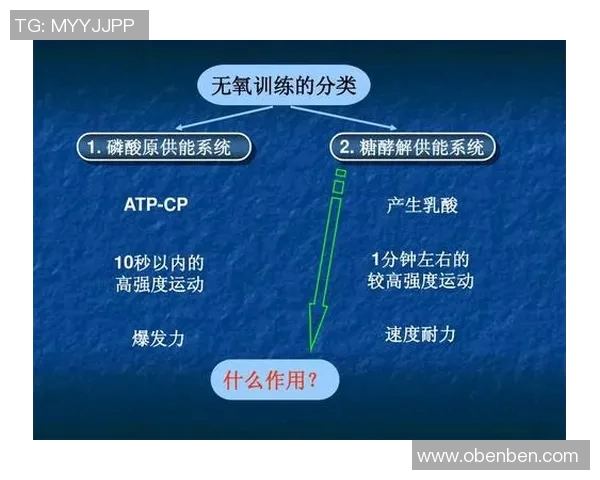 提升自由泳技术与耐力的科学训练方法与实践指南 提升自由泳技术与耐力的科学训练方法与实践指南