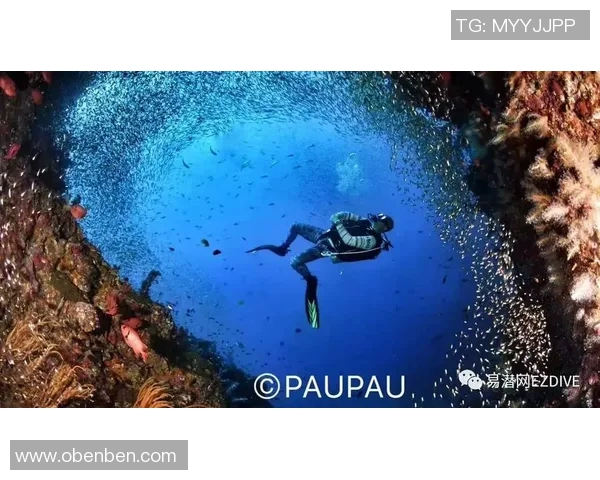 极限运动背后的秘密周芳分享成功之道与心路历程