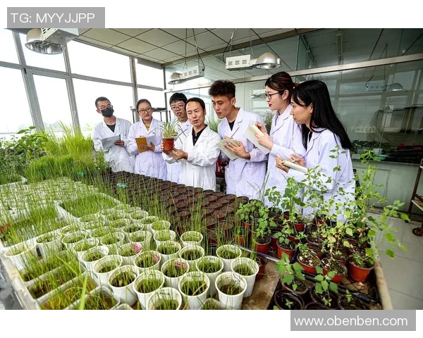 花卉种植技术与管理方法的创新研究与实践探索